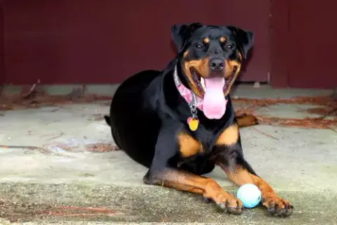 Maggie photo 4