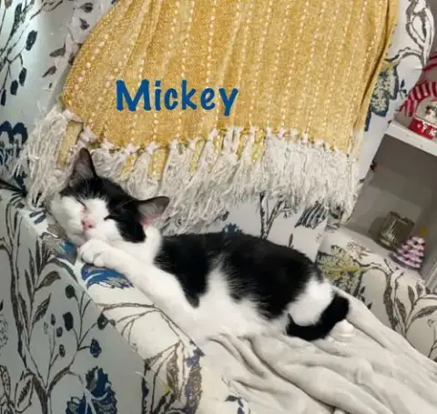 Matthew W/Mickey photo 2