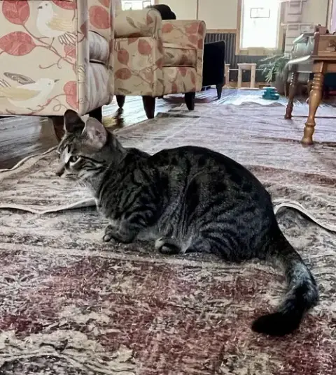 Milo photo 2