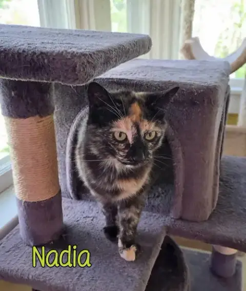 Nadia photo 3