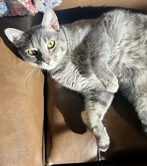 Kylo photo 2