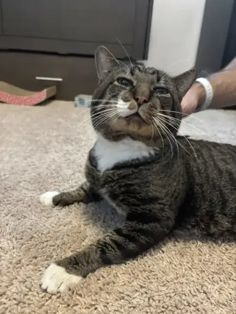 Twix photo 2