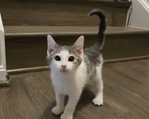 Freddie photo 2