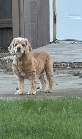 Daisy Duke photo 4