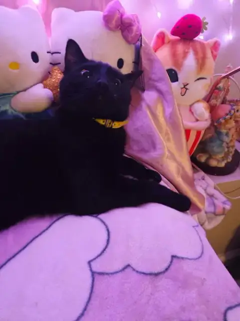 Precious photo 4