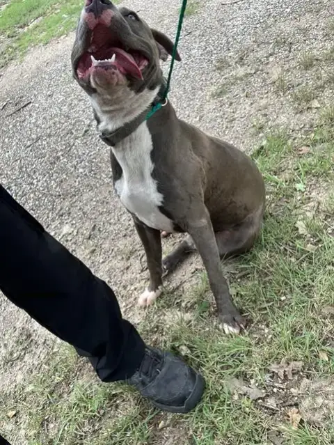 Max