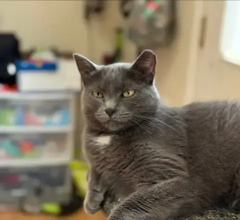 Luna