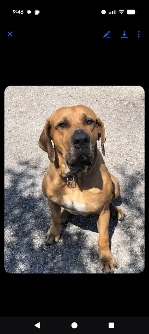 Jax photo 3