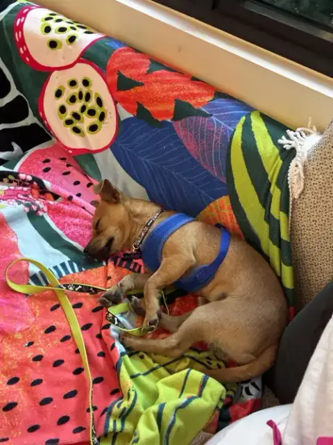 Nacho photo 5