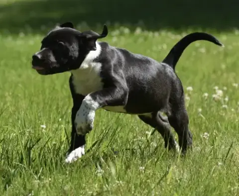 Oakley photo 4