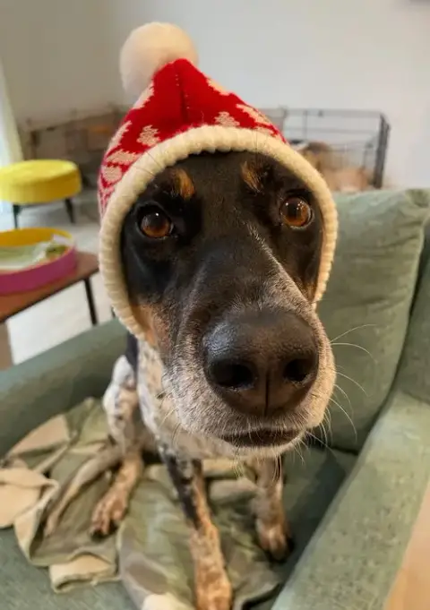 Myla