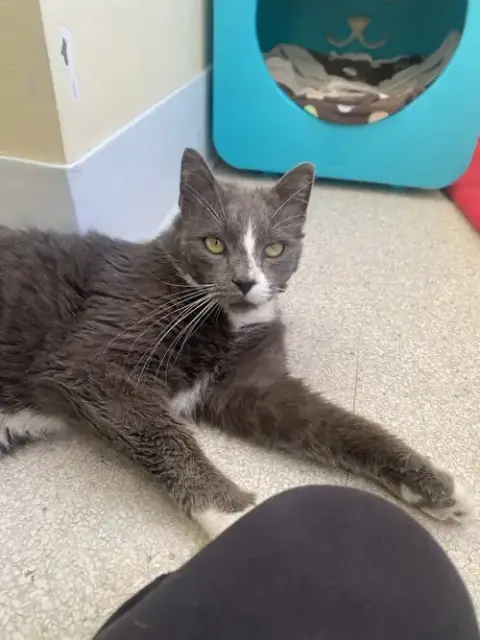 Gary