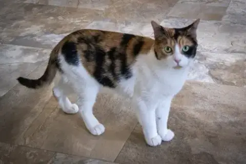 Francine photo 3