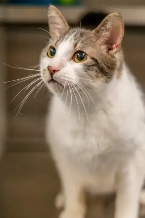 Oliver photo 2