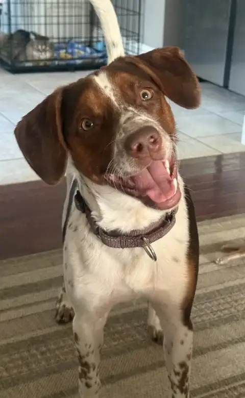 Sebastian
