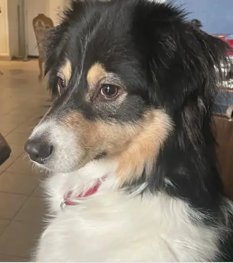 Charly