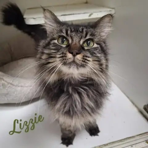 Lizzie #Real-Beauty