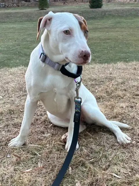 Sally photo 5