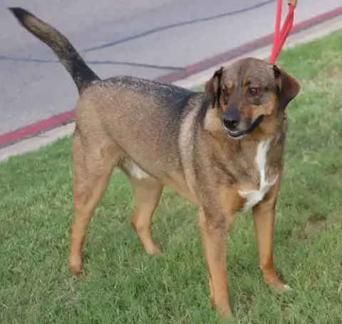 Sam photo 3