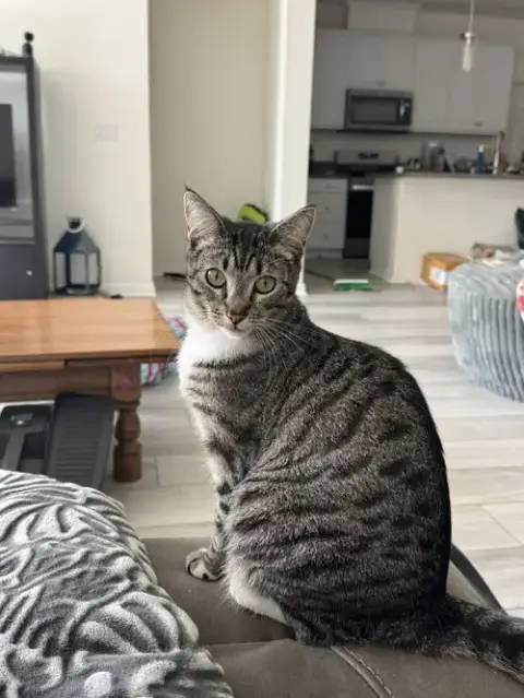 Eloise