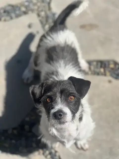 Marty photo 4
