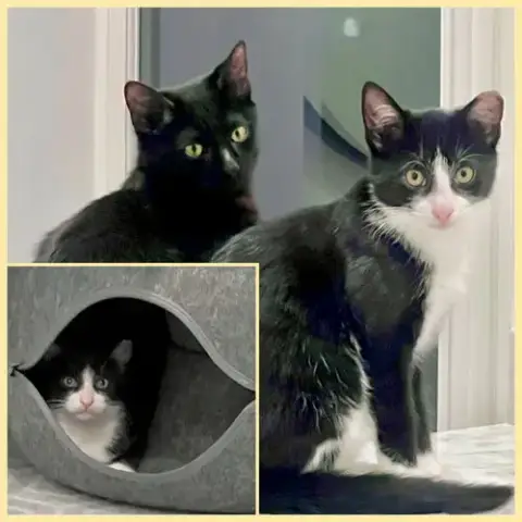 Nova And Orion