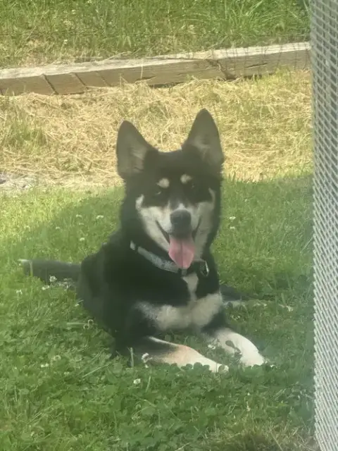 Kira photo 2