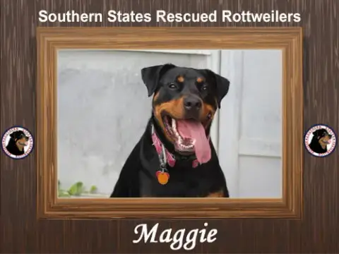 Maggie