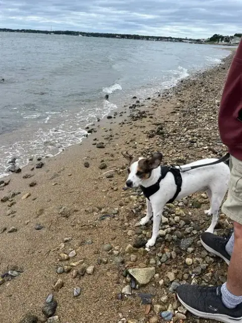 Jack photo 5