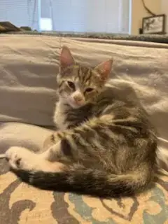 June Carter photo 4