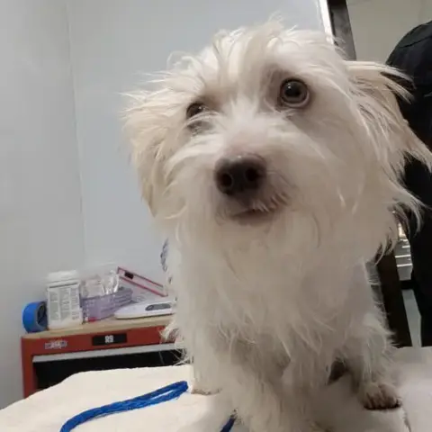 Darwin