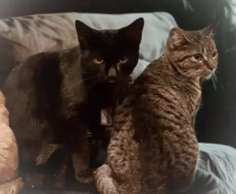 Crowfeather photo 2