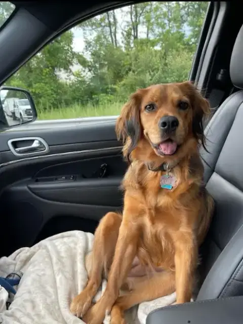 Penny In Ri photo 4
