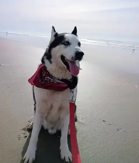 Axel photo 2