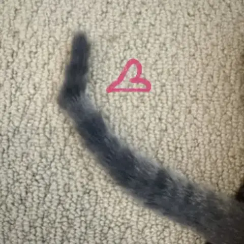 Mollie photo 4