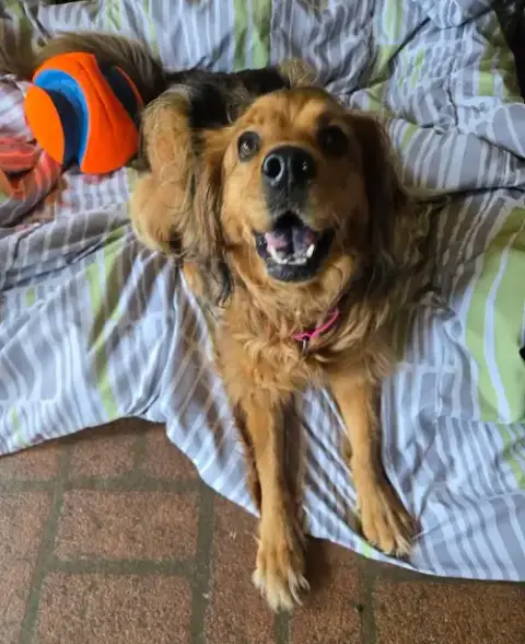 Penny In Ri photo 2