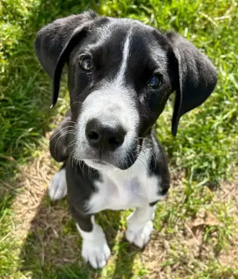 Zeus photo 2