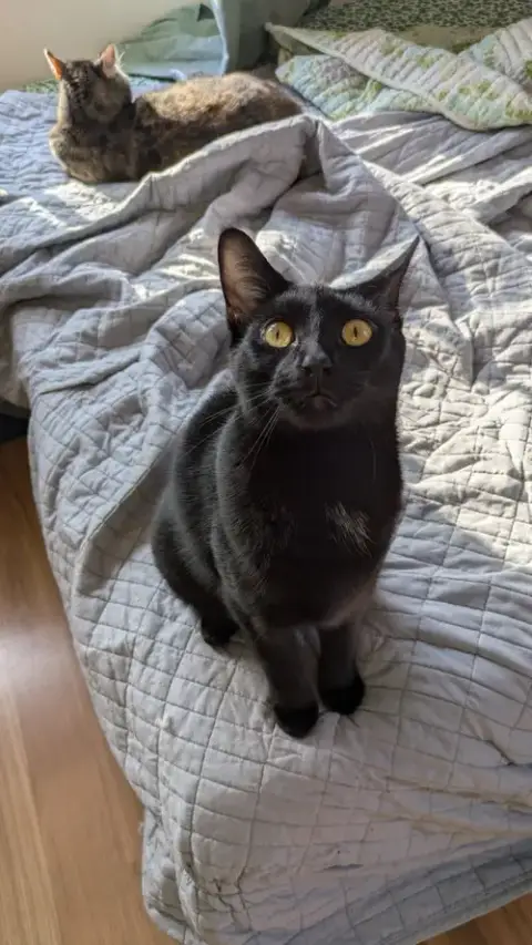 Casey