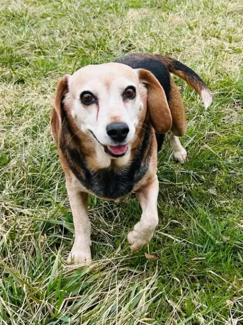 Bonnie photo 2