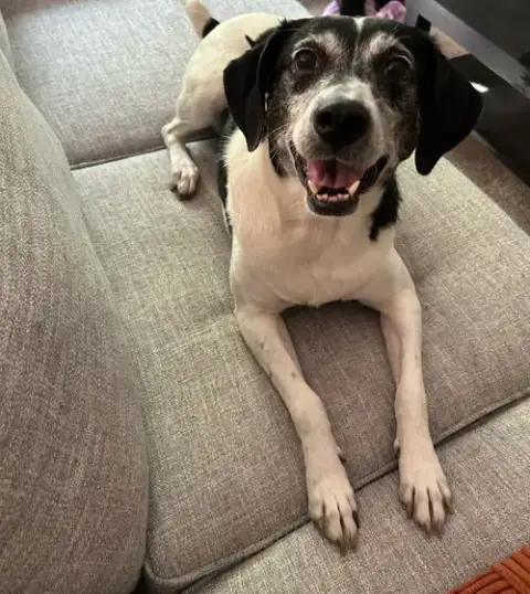 Sadie