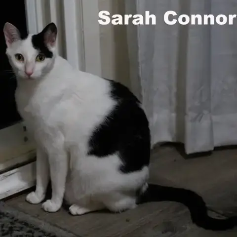 Sarah Conner