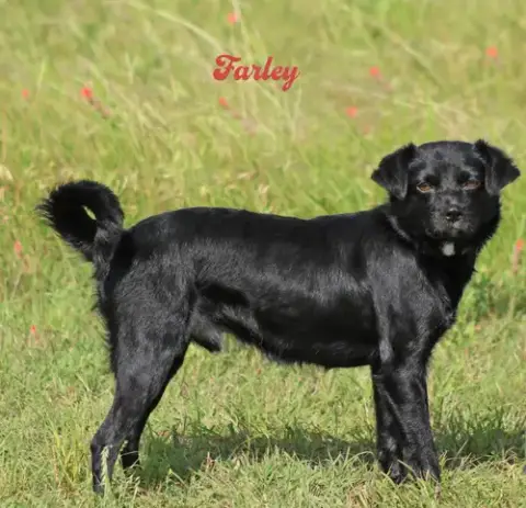 Farley In Tx photo 2