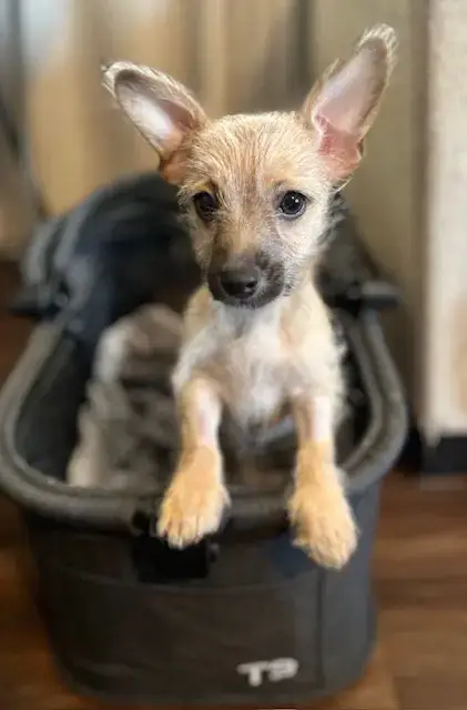 Bebe photo 5