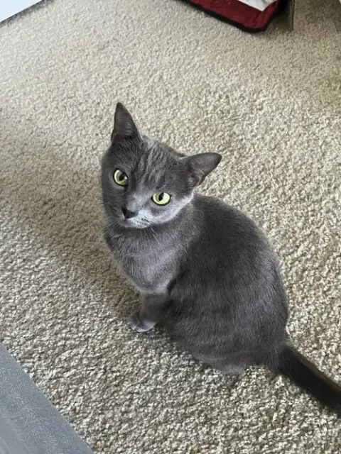Nelly photo 3