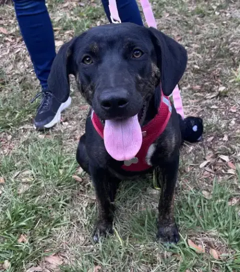 Saoirse Doglando Training Camp