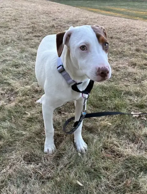 Sally photo 4