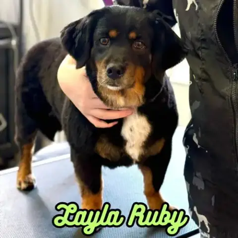 Layla Ruby photo 2