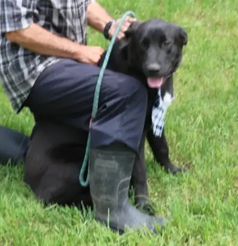 Tug photo 4