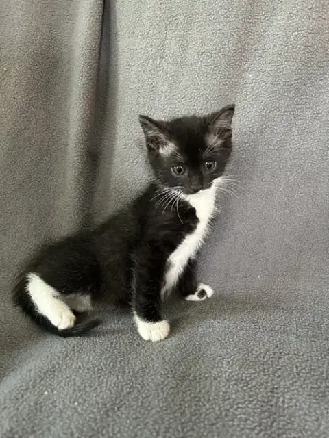 Thelma photo 3