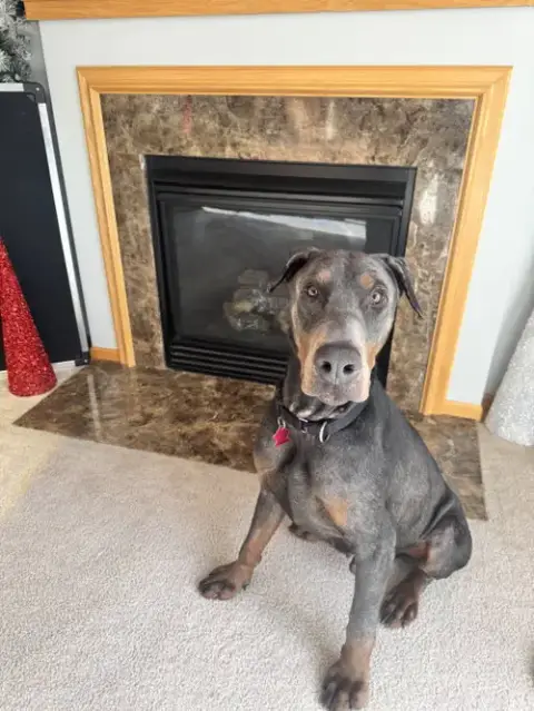 Roscoe photo 5